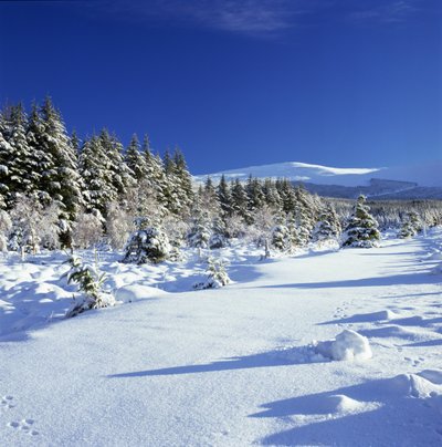 The Wicklow Mountains in Winter by Unbekannt Unbekannt